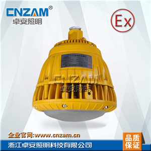 ZBD104-I 20W--40W LED免维护防爆灯