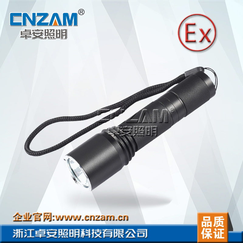 ZJW7620固态微型强光防爆电筒