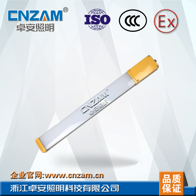 ZBD190 LED防爆高效节能灯