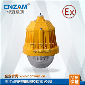 ZBD119 36W 45W LED防爆灯