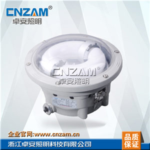 ZGW702 长寿顶灯(NFC9176)